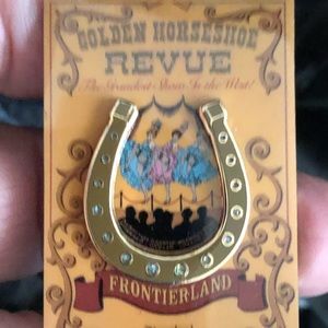 COPY - Collectable LAPEL PIN-DISNEY 10,000 made For 2004